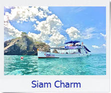 siam catamaran snorkeling chuphon