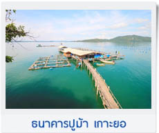 กินปูห้อยขา
